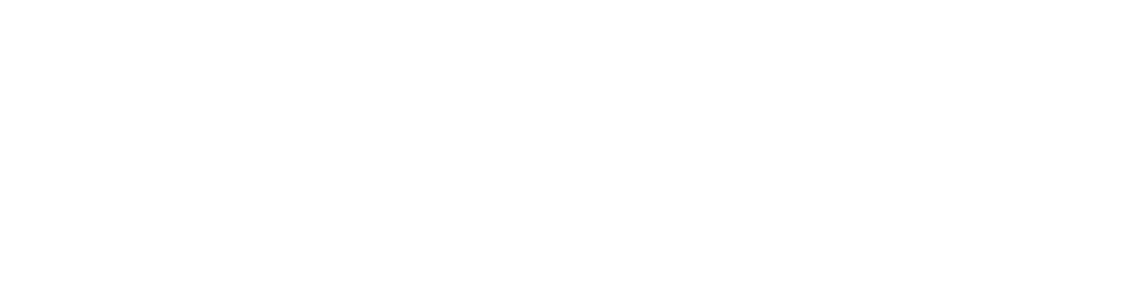 Petrol Components Logo blanco